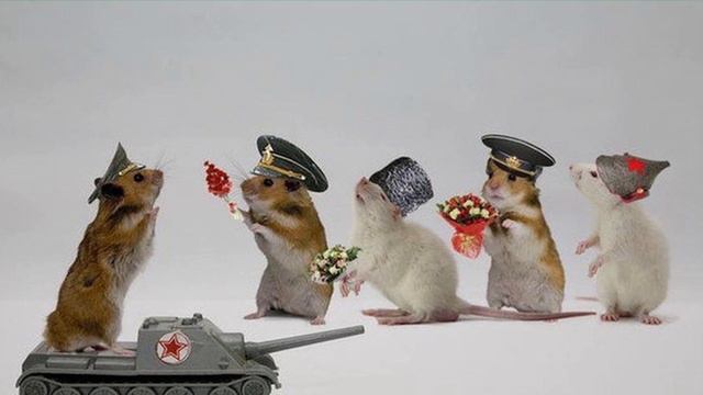 поздравление с 23 февраля