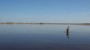 Рыбалка карп и карась. На пенопласт
