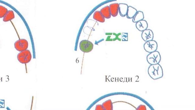 Стоматологическая клиника "Св. Аполлония" - Днепропетровск смотреть онлайн