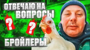 Все самое интересное о БРОЙЛЕРАХ. "Мое Подворье"