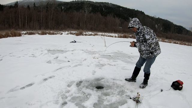 How to Catch Big Rainbow Trout Ice Fishing смотреть онлайн