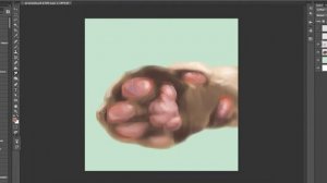 Toe Beans - SpeedPaint