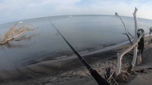 Рыбалка на Сибаса в Черногории с берега. Ловим Сибаса для кота.