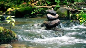 Hang Drum and Steel Tongue Drum relaxation music