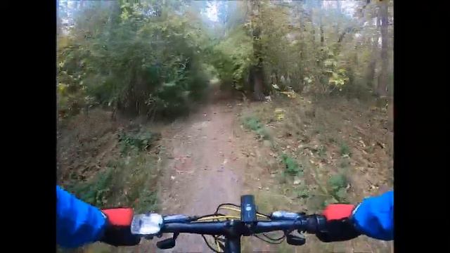 На велосипеде по лесной тропинке смотреть онлайн