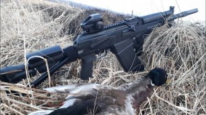 Удачная разведка по селезню! Весна 2021 г. Сайга 12к. исп. 033.