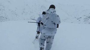 Охота на снежного барана