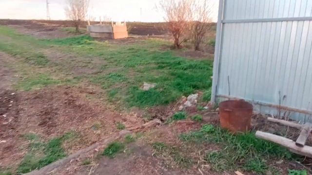 Мини рассказ сравнение "органические и мин - ные удобрения коровяк и селитра" без доказательств. смотреть онлайн