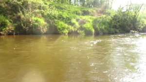 сплав река меза костромская область