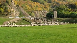 поездка в Дагестан! октябрь 2021