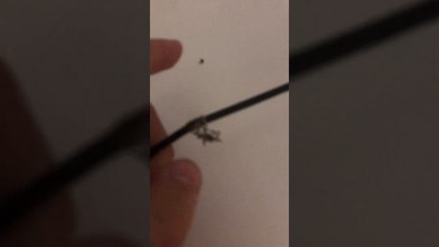 Оснастка на налима смотреть онлайн