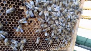 Установка изоляторов