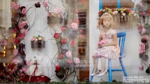 Panasonic Lumix GH4 - Первые впечатления от фото-возможностей топовой беззеркалки