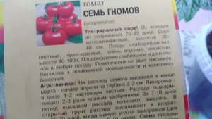 Ранние ТОМАТЫ цветут. Как же, ДОЛГО я тебя ждала! Сколько дней растёт ПЛОД . Отсчёт пошёл.