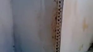 Плесень стен (mold on walls). Чем вывести навсегда.