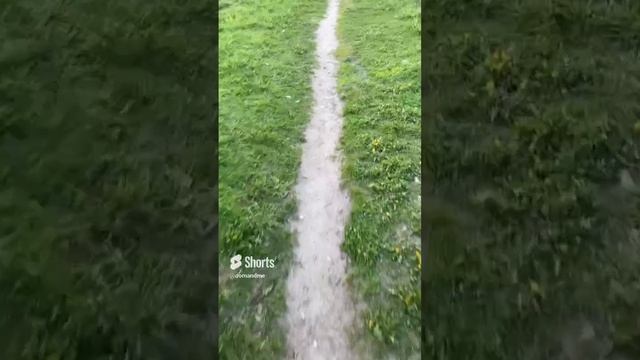 Развела Отца на .… #shorts смотреть онлайн