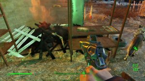 Fallout 4 (PS4) Прохождение #40: Радиосигнал разлученных родственников и Уэст-Эверетт