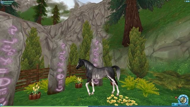 My HORSE Makes A STAR STABLE VIDEO ? & Almost BREAKS The GAME? ?