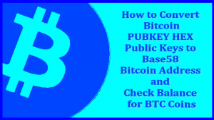 How to Convert Bitcoin-PUBKEY HEX Public Keys to Base58 Bitcoin Address and Check Balance for BTC