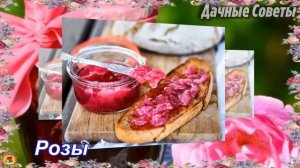 Съедобные ЦВЕТЫ Вот какие цветы можно ДОБАВЛЯТЬ В ЕДУ с пользой для ЗДОРОВЬЯ Дачные совет