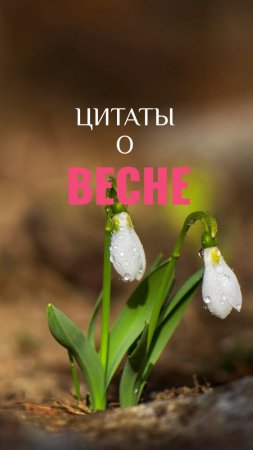 Цитаты о Весне. Зарубежные писатели о Весне.