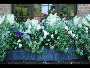 37 красивых идей дизайна клумбы под окном