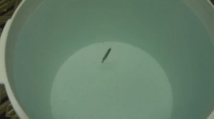 Зимняя блесна "Гробик (М)"