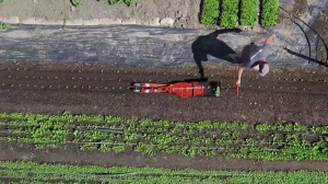 Сельскохозяйственный робот