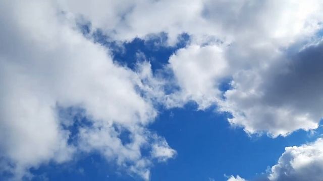 Гуси гуси, помидоры высаживаю в теплицу. смотреть онлайн