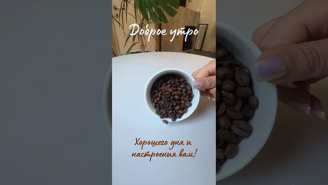 Доброе утро с командой Мегаполис 🤍