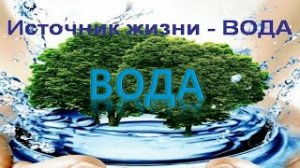 Вода источник жизни  Окружающий мир