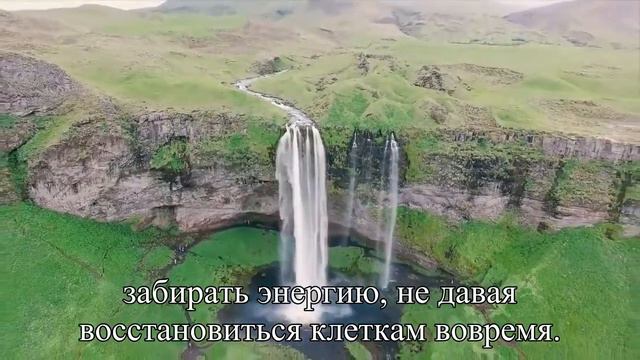 Почему нет сил жить 10 главных причин усталости  — Статья
