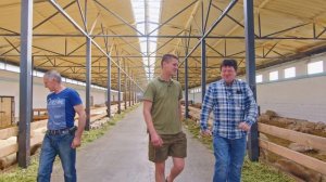 СОДЕРЖАНИЕ и РАЗВЕДЕНИЕ ОВЕЦ: породы, корм, уход | Ферма в Киевской области