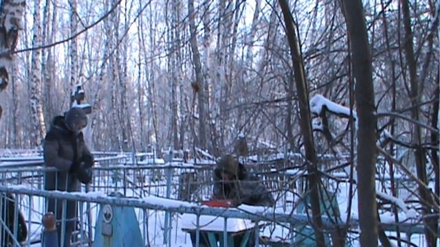 ЭГФ/ФЭГ на СТАРОМ КЛАДБИЩЕ\Разговор с ДУШОЙ\Вопросы от подписчицы.