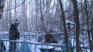 ЭГФ/ФЭГ на СТАРОМ КЛАДБИЩЕ\Разговор с ДУШОЙ\Вопросы от подписчицы.