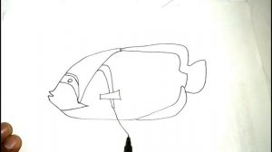 How to Draw a fish - Emperor AngelFish | HD Arts