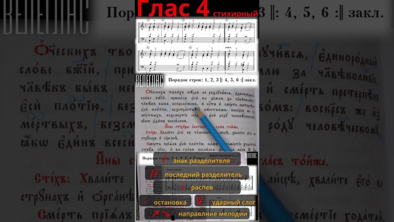 Глас 4. Стихирный. Практика. Разметка стихиры. "Отеческих Твоих недр не разлучився" #shorts