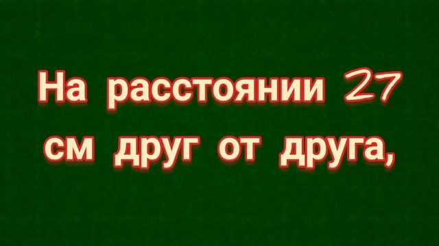 СТАРИННЫЙ ЗАГОВОР НА ДЕНЬГИ И УДАЧУ.