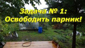 Начало осени/ Потихоньку освобождаю грядки