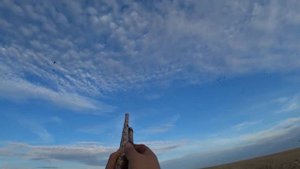 Охота на гуся в Казахстане 2019 г.