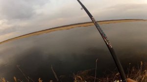 Рыбалка на плотву .Рыбинское водохранилище. Протока Святовского мха. 26 апреля .