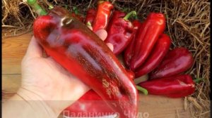 Три чудо-перца!