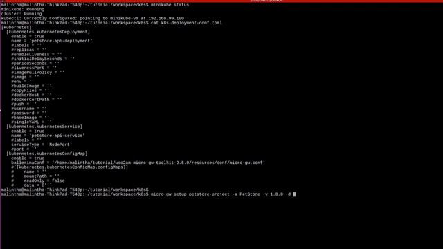 Running a microgateway in Docker and Kubernetes, Quick tour of API Microgateway смотреть онлайн