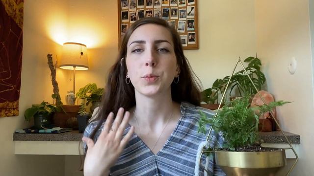 May Houseplant Favorites!! смотреть онлайн