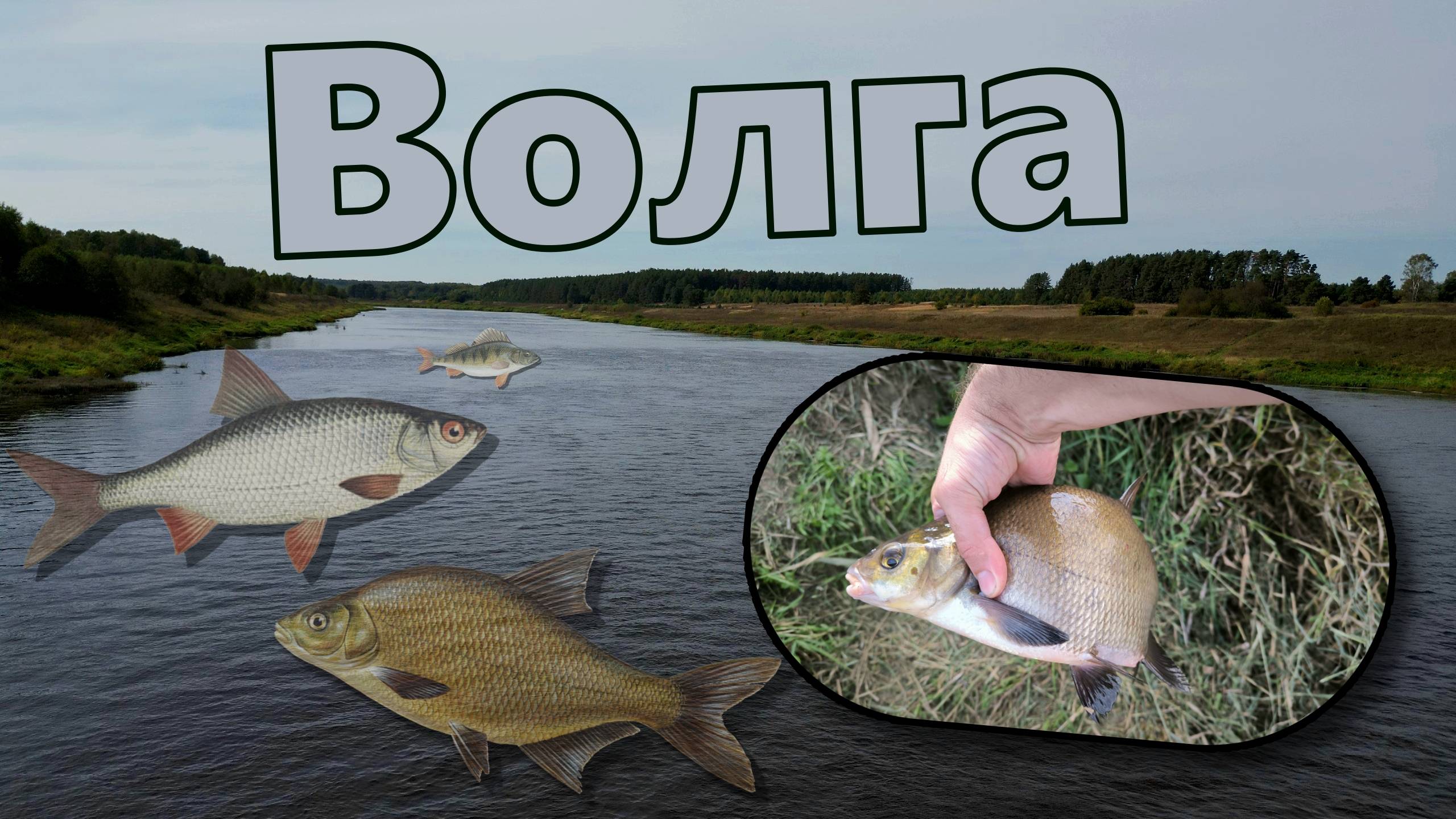 Отдых на Волге по-русски смотреть онлайн