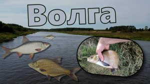 Отдых на Волге по-русски