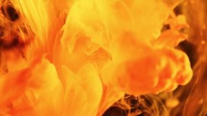 Как придумали майонез?