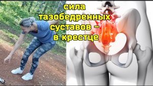 Деградирует крестец, барахлят тазобедренные суставы? Снимите компрессию нервов крестца и копчика
