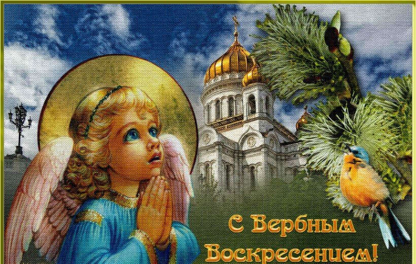Поздравление С Вербным Воскресеньем! Мира и Добра!