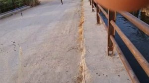 Вот это рыбалка!! кефаль на каждом забросе! Рыбалка на паук 2022. Рыбалка